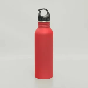 Daily Hydrate Flask
